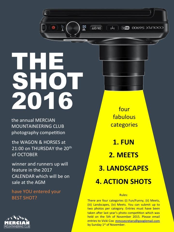 The Shot poster.jpg